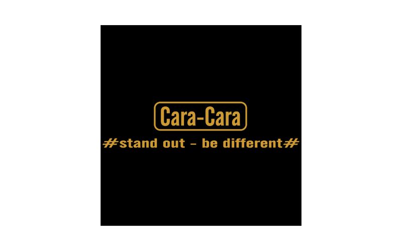 Cara Cara Art Studio